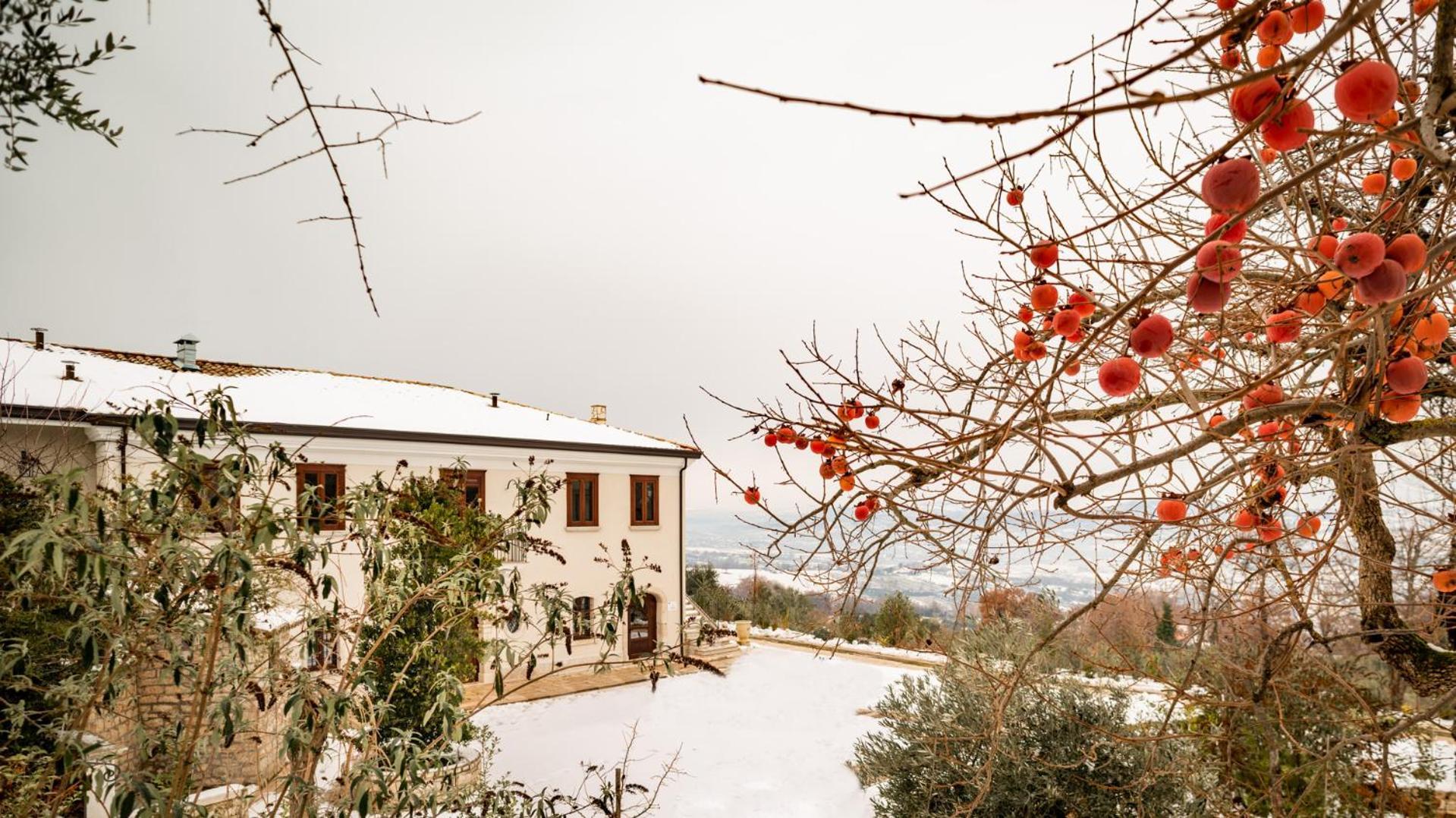 Il Mulino Della Signora Luxury Country House Frigento Eksteriør bilde